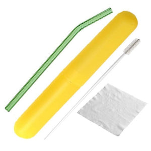 Glass Drinking Straw with Cleaning Brush