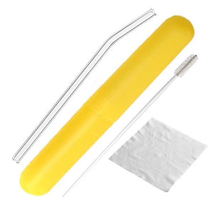 Glass Drinking Straw with Cleaning Brush