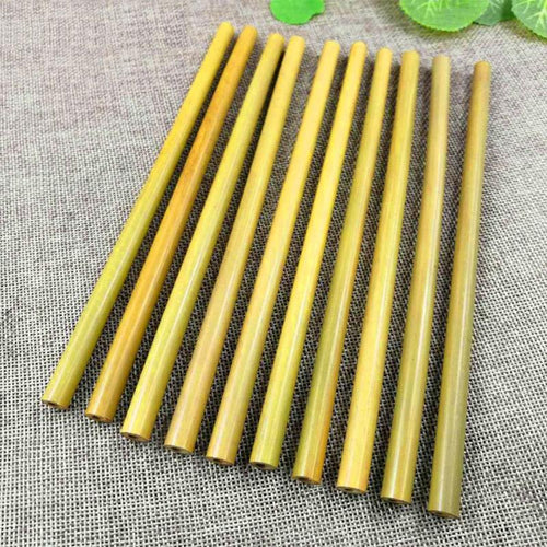 Bamboo Drinking Straws with Cleaning Brush