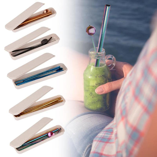 5pc Set -  Steel Drinking Straws with Case & Cleaning Brush